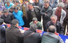 缠溪镇开展“三访”暨法制宣传和春节期间流动人口计划生育宣传活动