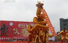 德江青龙镇62条龙灯“出灯”闹元宵