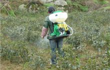 德江平原乡：背负式喷雾机为茶农节省14万元