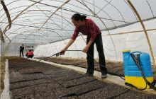 玉屏：规划建设高新农业科技示范园区