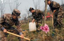 德江军民联手植树造林