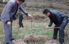 缠溪镇义务植树 助推“万元山”工程有序开展