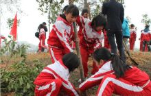 阳春三月苗乡千人植树忙