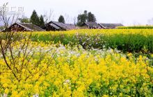 醉美印江· 美不胜收（二）