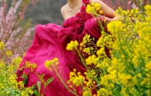 醉美印江· 花海仙踪（四）