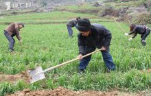 沿河大力推进“三个万元”工程