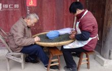 印江梨坪茶园初见效  群众管茶激情高