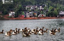 苗王湖采风 · 逐水而居 闲适安然（二）