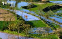 石阡县农村抓紧时节忙春耕