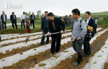 铜仁“烤烟井窖式移栽 高效促苗技术研究”项目通过专家鉴定