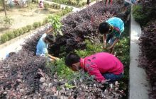 “环保卫士”成妙隘乡完小亮丽风景线