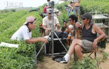 《花坞》摄制组走进松桃正大乡万亩茶园拍摄