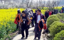 一个绿色产业富了一个村庄——沿河自治县南庄村种植空心李致富掠影