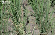 石阡县汤山镇进行灾情调查