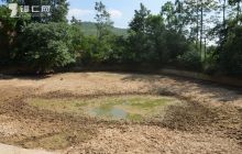 铜仁市旱灾已造成170万人受灾37万人饮水困难 市减灾委启动自然灾害应急救助三级响应