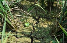 铜仁市司法局深入万山区石竹村指导抗旱工作