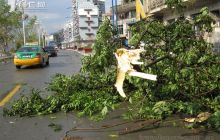 狂风突袭沿河县城