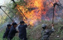 “火焰山上”见真情——松桃公安九江灭火救灾行动纪实