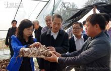 离退休老干部到德江视察“5个100”工程