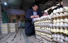 邹书堂：年收入百万元的“鸭司令”