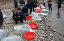 德江在马蹄河开展增殖放流活动