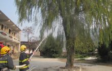 百年柳树“虫灾”变火灾 石阡消防紧急排险