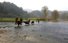 【记录铜仁】乡间