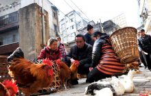 蓼皋“集市”掠影