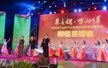 《汞之魂 万山情》明星演唱会