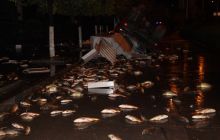 松桃大货侧翻鱼洒一地1人被困 消防成功处置