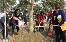 沿河开展全民义务植树活动