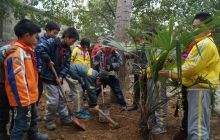 德江县枫香溪镇袁场小学师生种下1000棵希望树