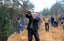 德江县军民联手植树造林