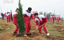 松桃开展全民义务植树活动