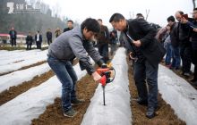 铜仁市现代烟草农业园区建设暨整地待栽--现场会在思南县召开