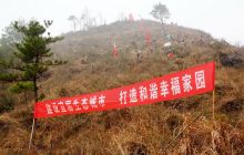 铜仁市碧江区联合开展义务植树