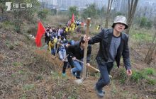 心系网友护林--同仁社区在行动