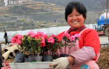 德江县高家湾加快丰彩大地景园一体化发展