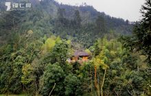 松桃沙坝河 幽径寻兰