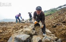 玉屏老寨村打造 四在农家·美丽乡村