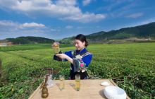 【梵净山·明前茶】采风行