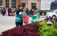 铜仁市园林局全面开展园林绿化春季施肥工作