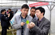 铜仁市烟草局示范推广生物防治技术