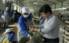 首届贵州“绿宝石”生态茶叶生产加工技术培训在沿河新景乡举行