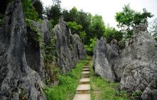 “五一”小长假   畅游思南石林