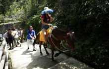 五一小长假期间铜仁市九龙洞迎客15323万人次