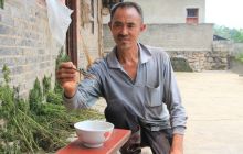 德江桶井场坝村民发展中蜂养殖