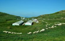 黔东草海大自然的氧吧