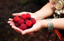 大龙清水塘杨梅熟了