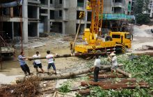 市园林局帮助清理居民院落危树